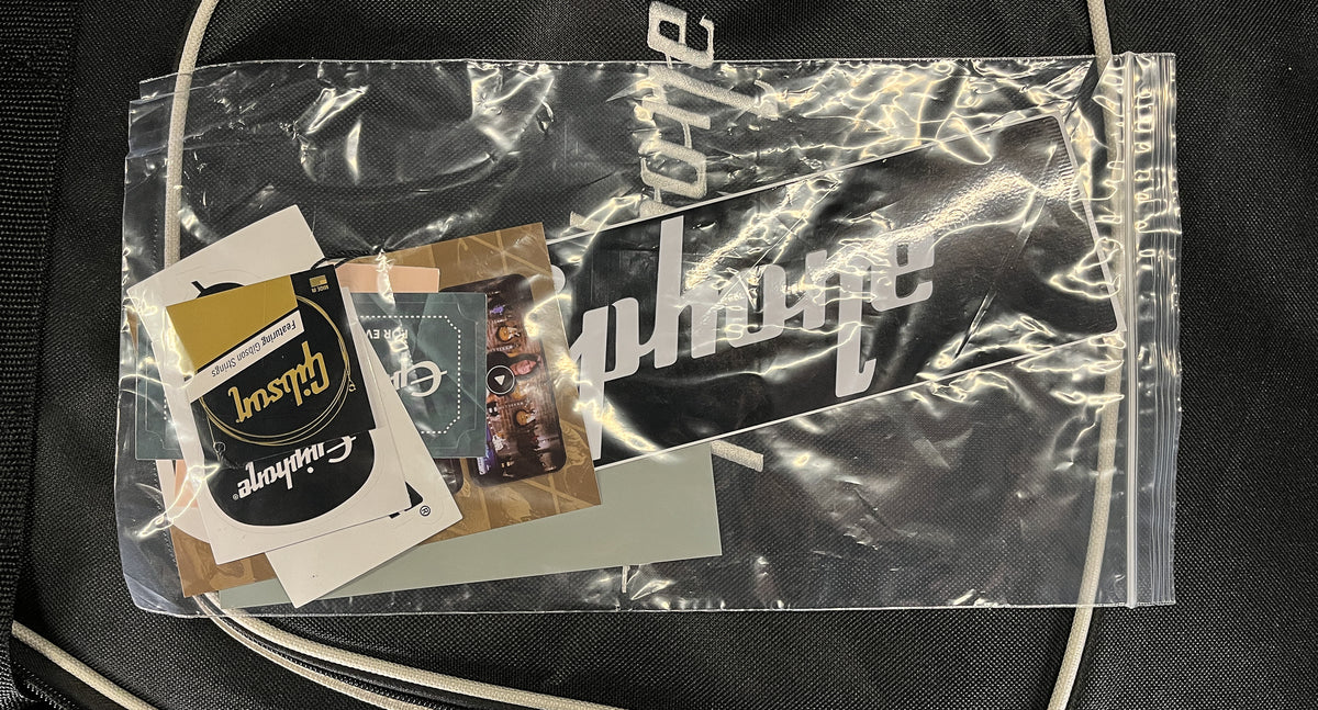 Epiphone Les Paul Standard 50s Goldtop (379)