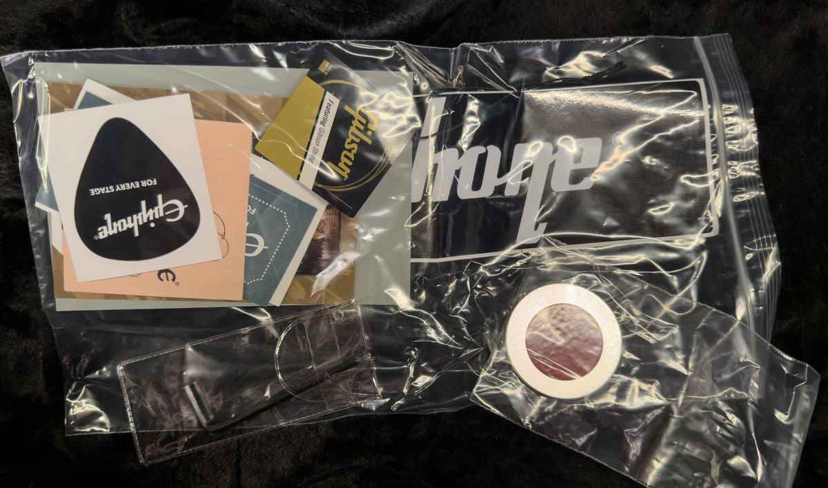 Epiphone Adam Jones 1979 Les Paul Custom Antique Silverburst (420)