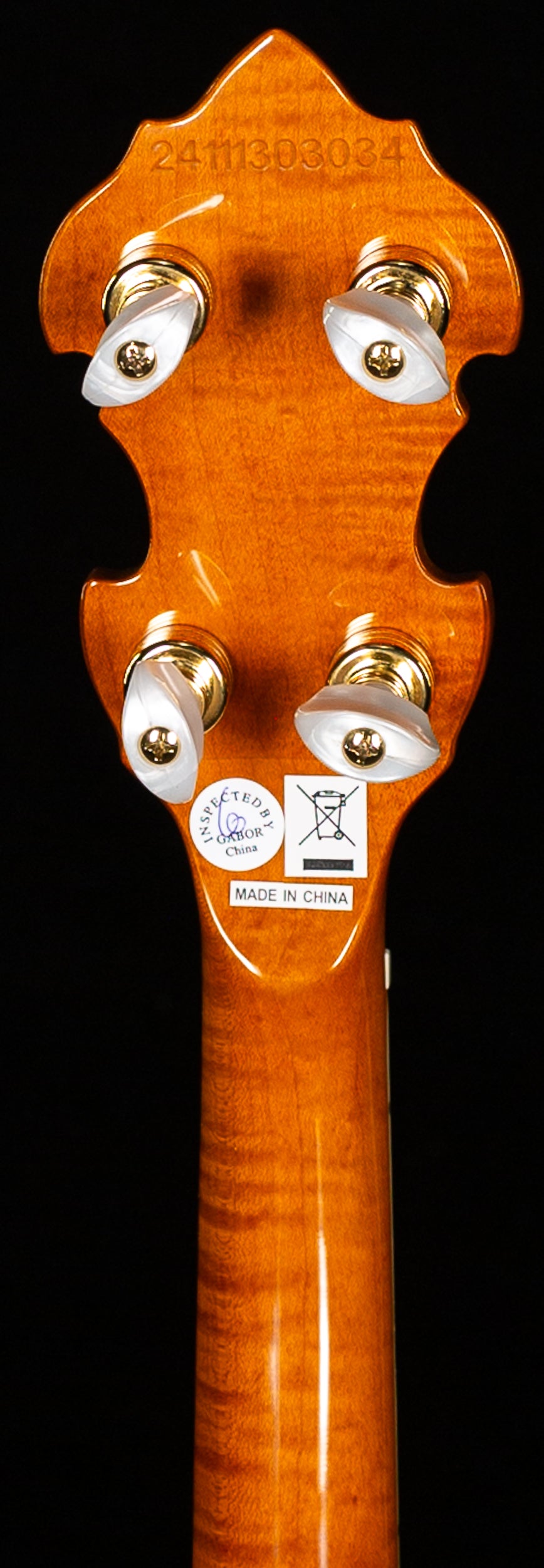 Epiphone Earl Scruggs Golden Deluxe Banjo (034)