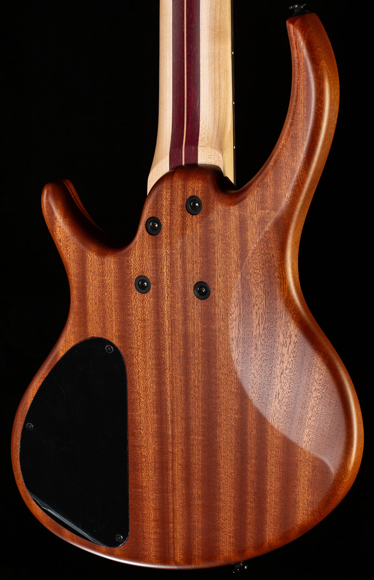 Tobias Killer B V 5-String Bass Satin Natural (654)