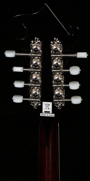 Epiphone F-5G (078)