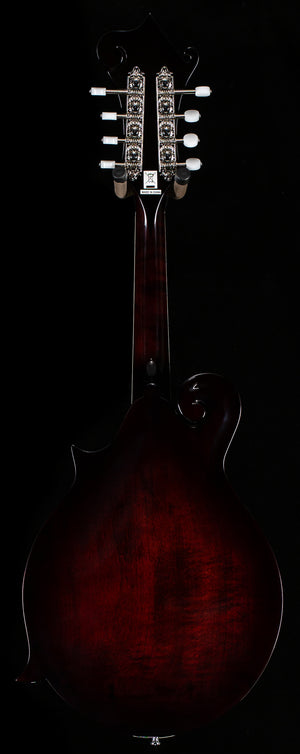 Epiphone F-5G (079)