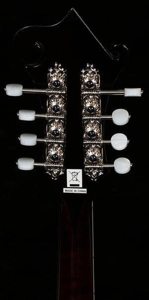 Epiphone F-5G (079)
