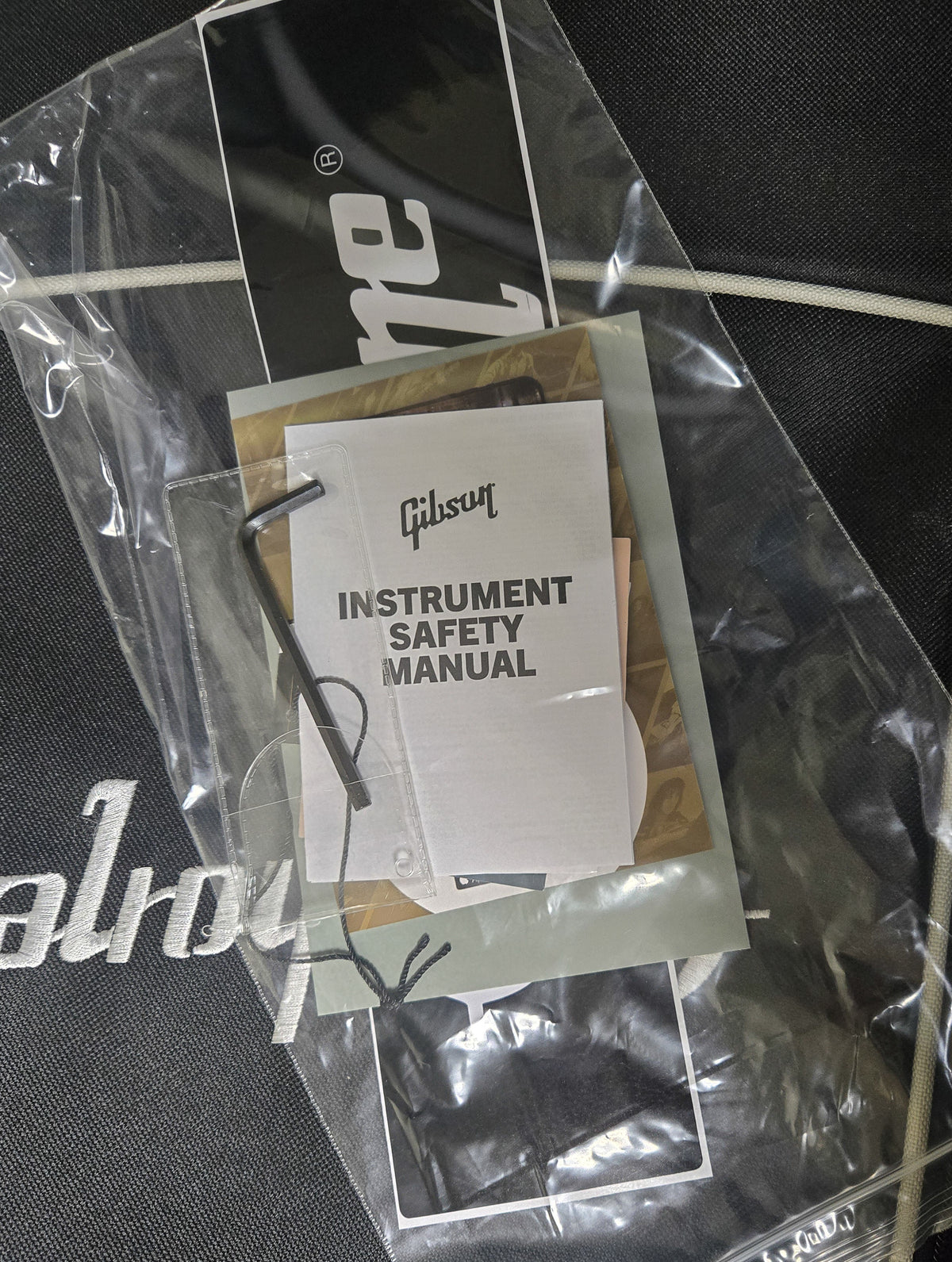Epiphone Futura ES-355 Dragonfly Shift (580)