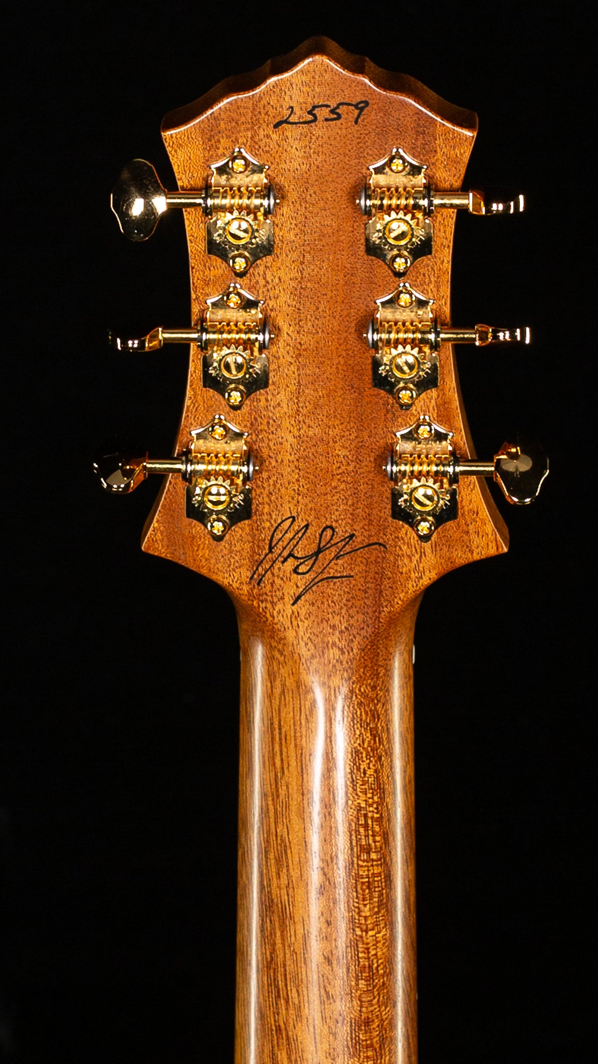 Knaggs Influence Kenai Yard Dog Natural (559)