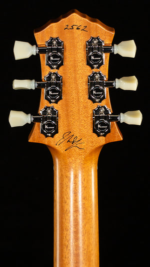 Knaggs Influence Kenai Dirty Amber P90 (562)