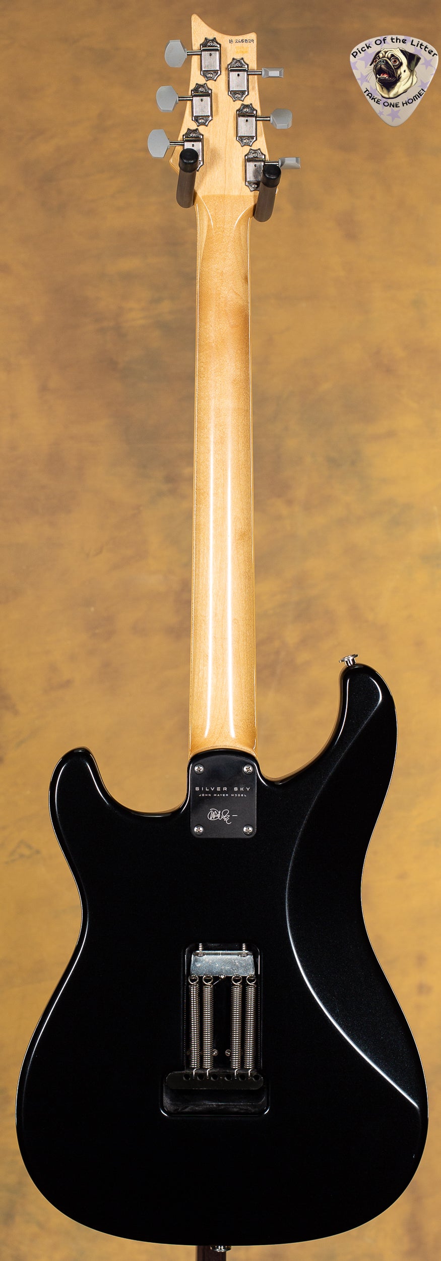 2018 PRS Silver Sky Onyx - Willcutt Guitars
