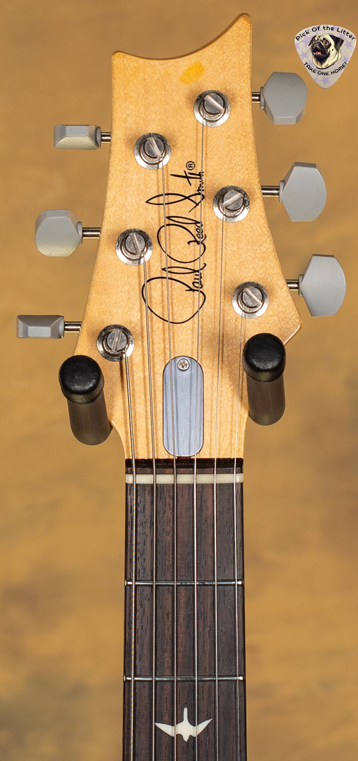 2018 PRS Silver Sky Onyx