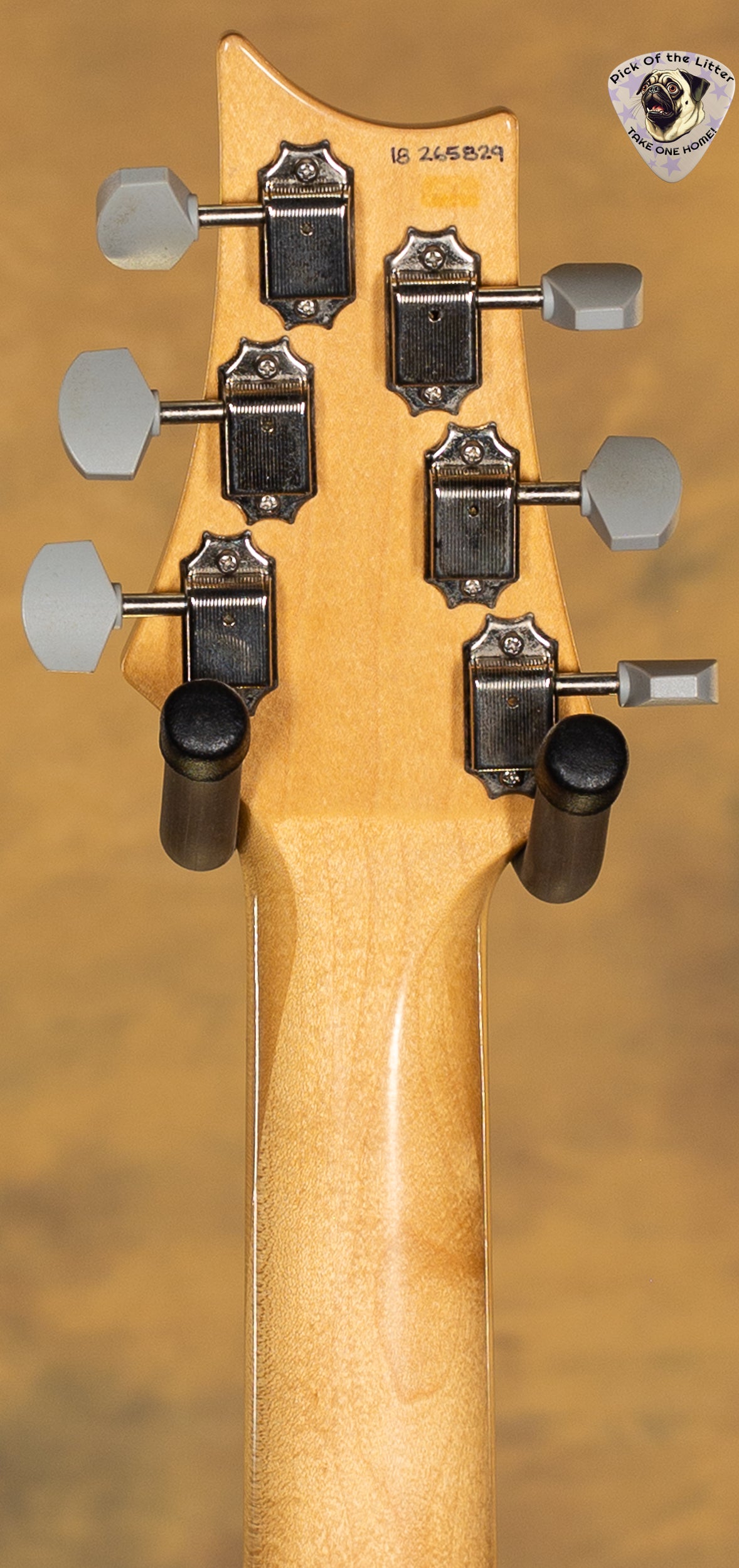 2018 PRS Silver Sky Onyx