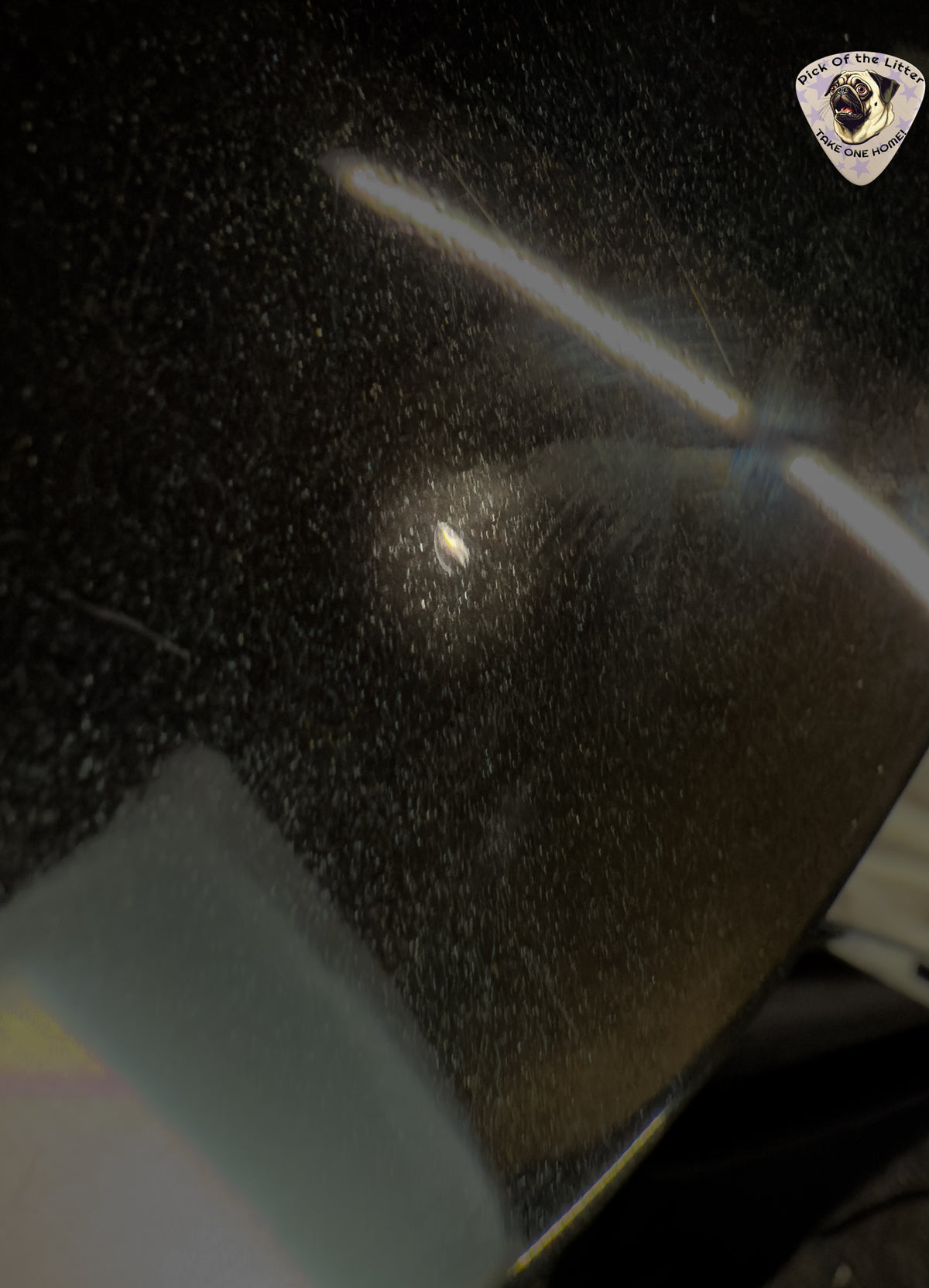 2018 PRS Silver Sky Onyx