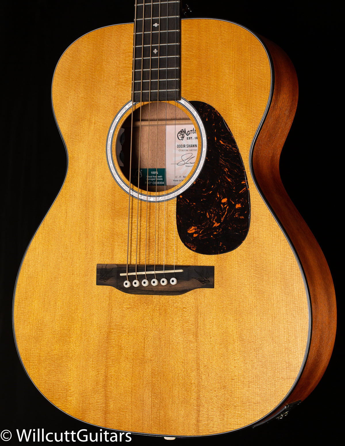 Martin 000JR-10E Shawn Mendes (065)