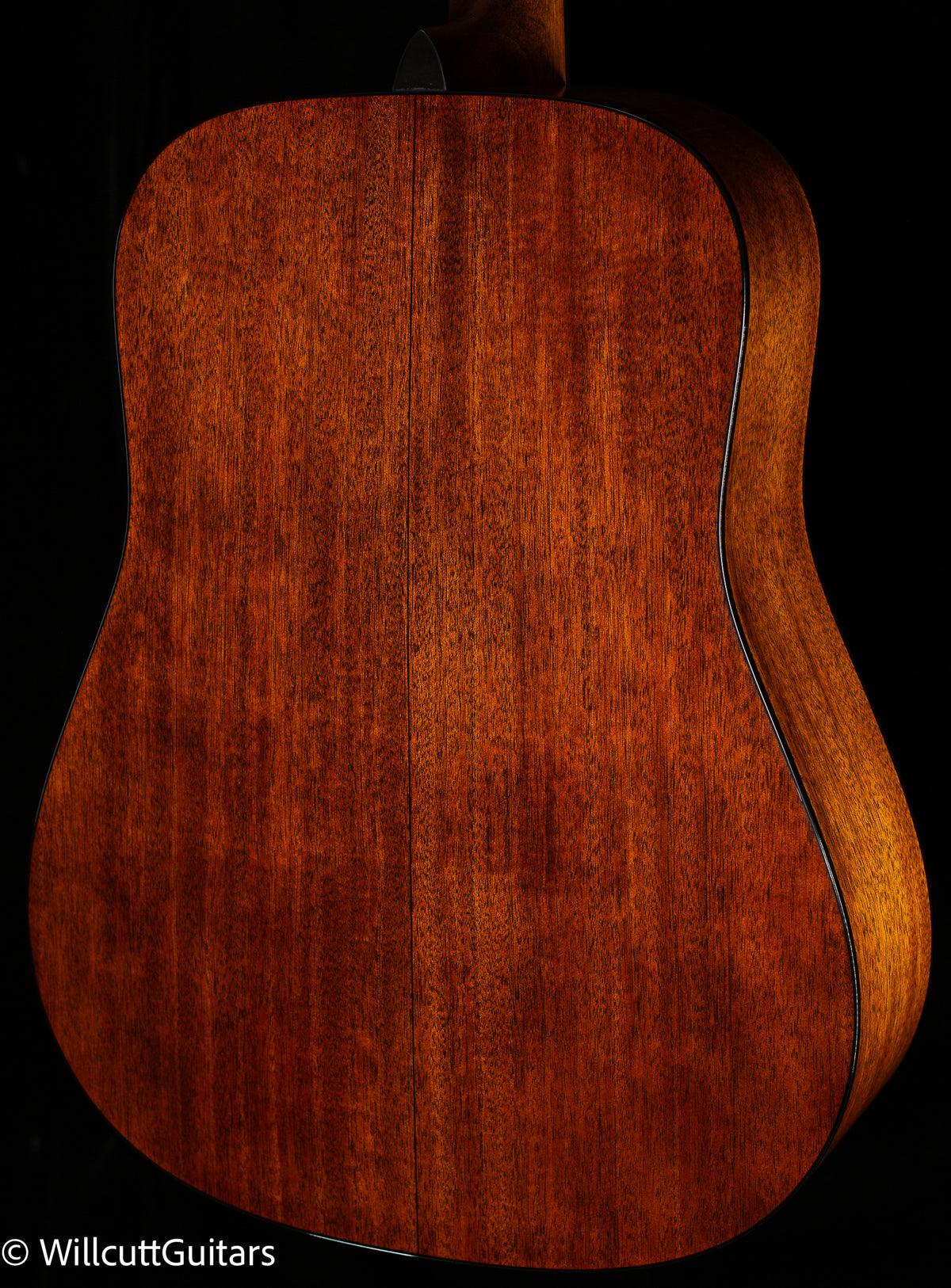 Martin D-18 (072)