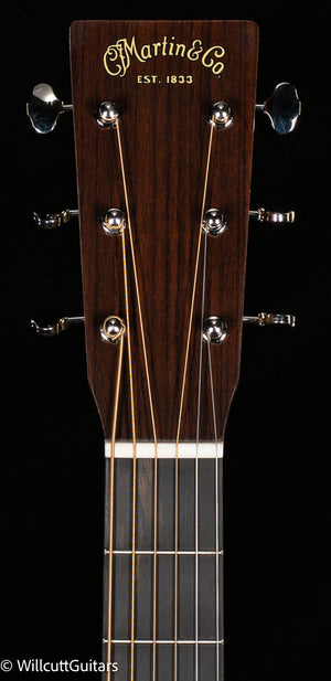 Martin D-16E Rosewood (325)