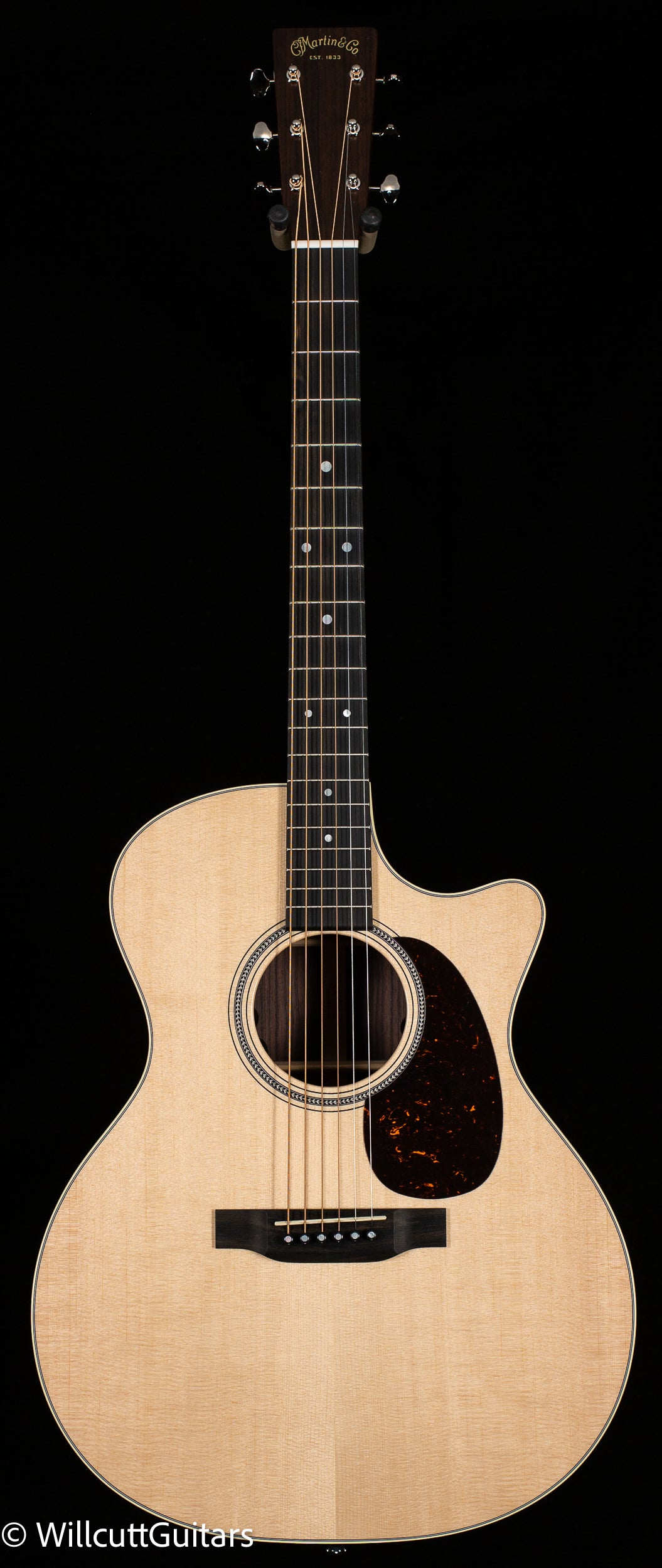 Martin GPC-16E Rosewood (734)