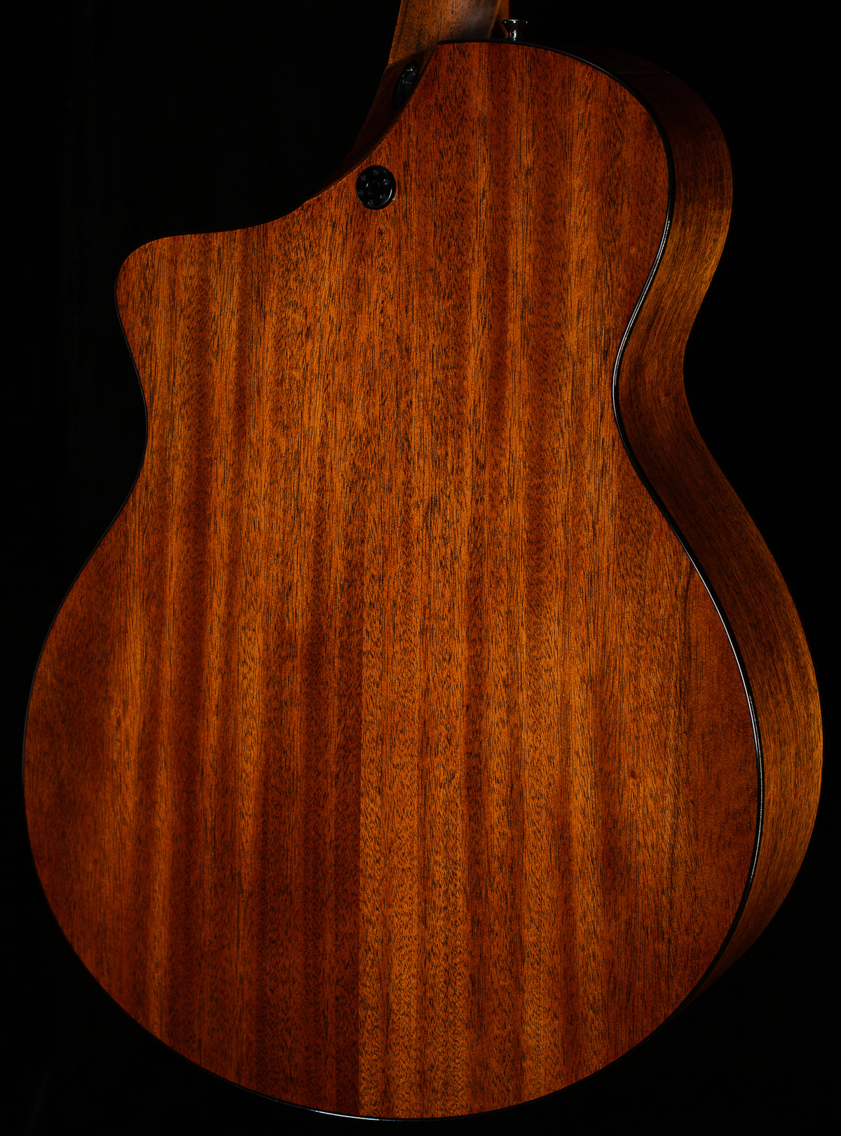Martin SC-18E L.R. Baggs (238)