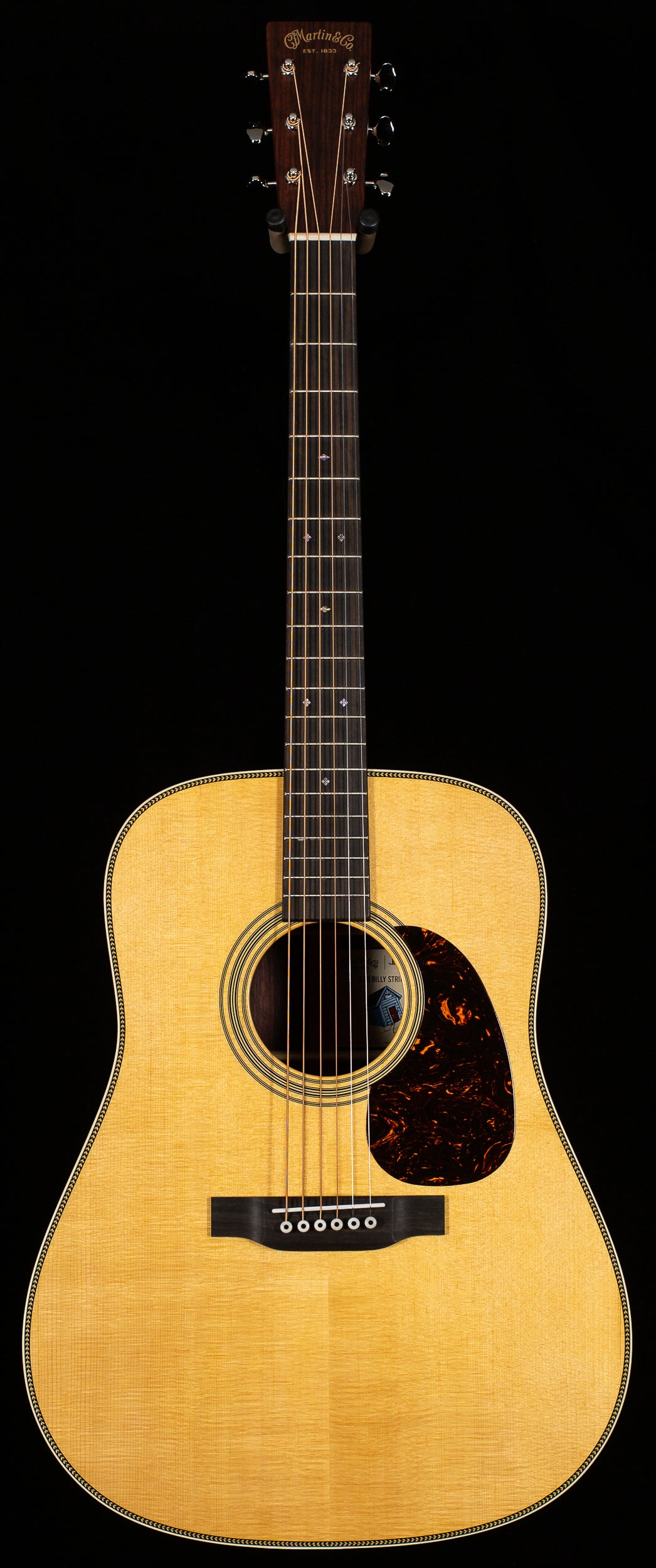 Martin D-28 Billy Strings (198)