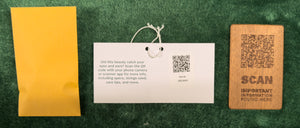 Martin HD12-28 2025 Spec (440)