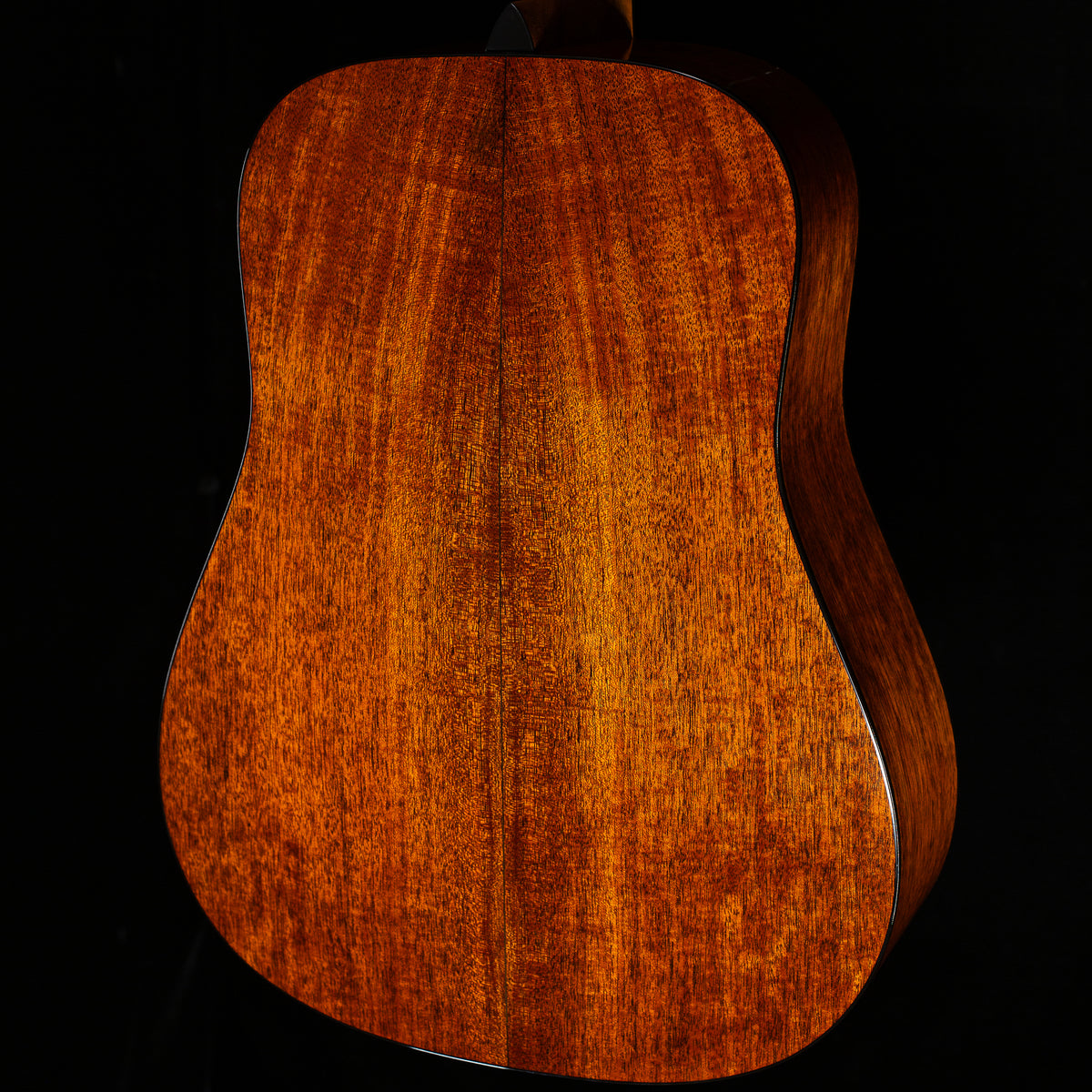 Martin D-18 (072)