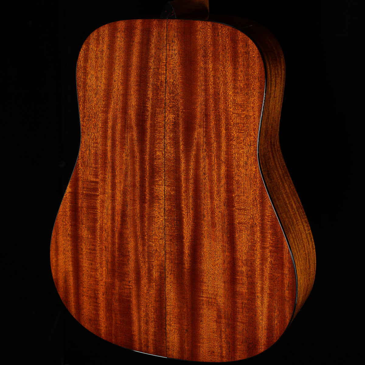 Martin D-18 Molly Tuttle (226)