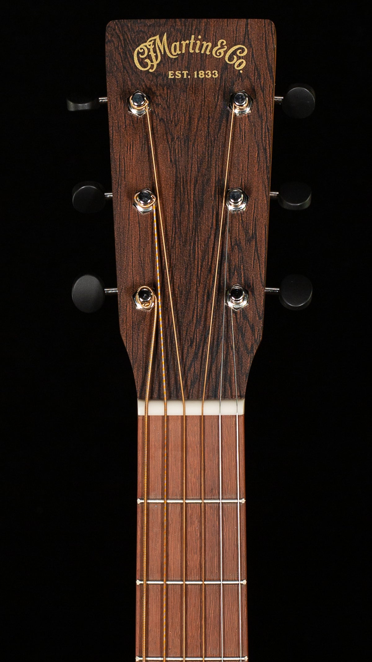 Martin D-10E Retro Sapele (112)