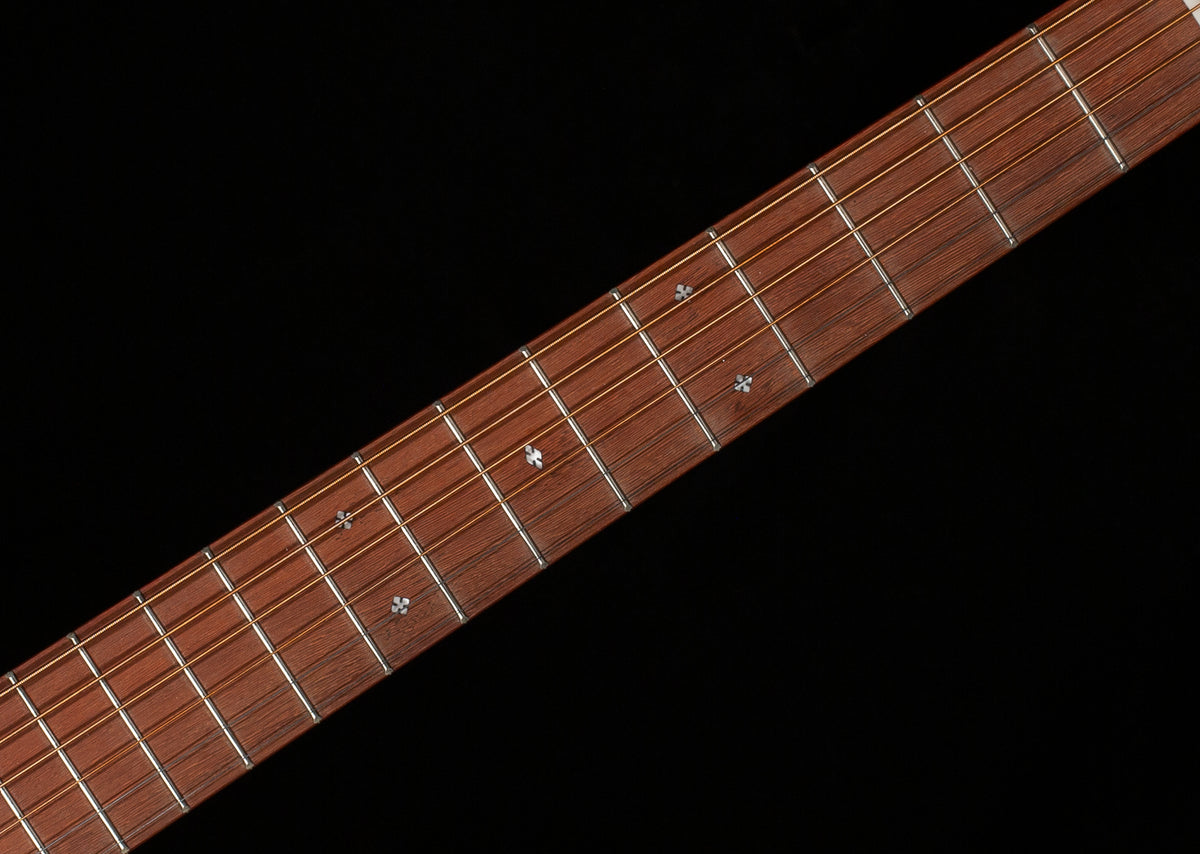 Martin D-10E Retro Sapele (112)