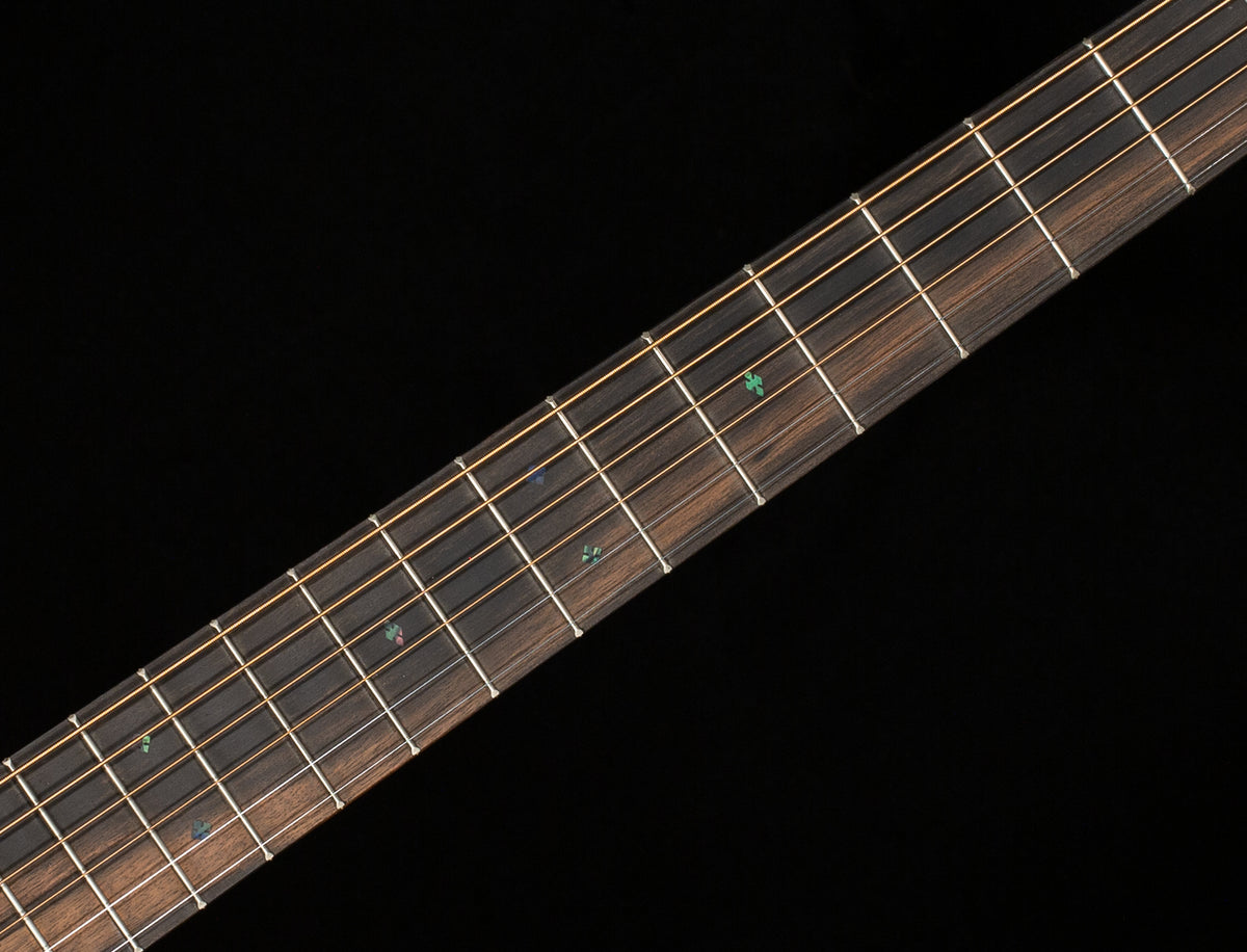 Martin D-X2E Billy Strings (979)