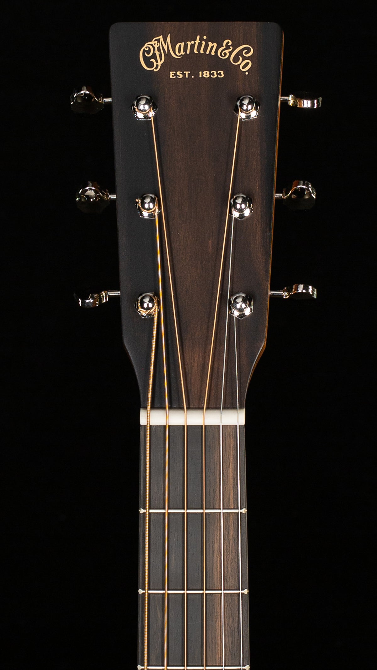 Martin D-X2E Billy Strings (979)