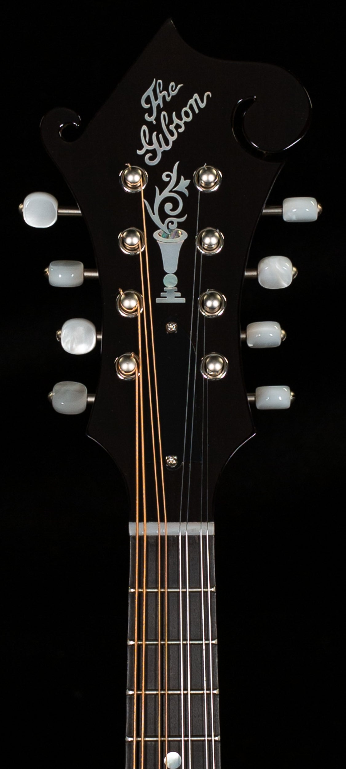 Gibson Mandolin F-5G Dark Burst NH (012)