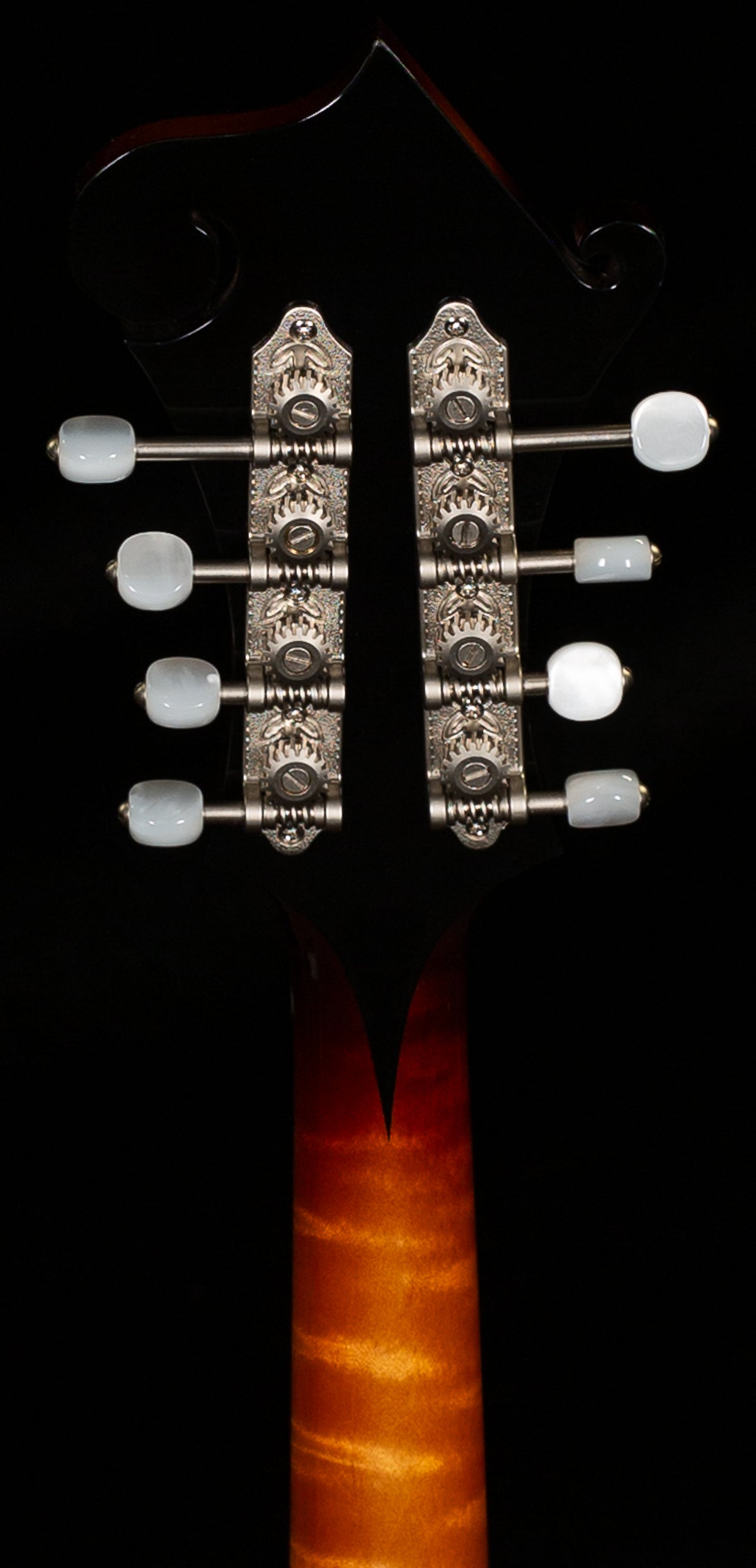 Gibson Mandolin F-5G Dark Burst NH (012)