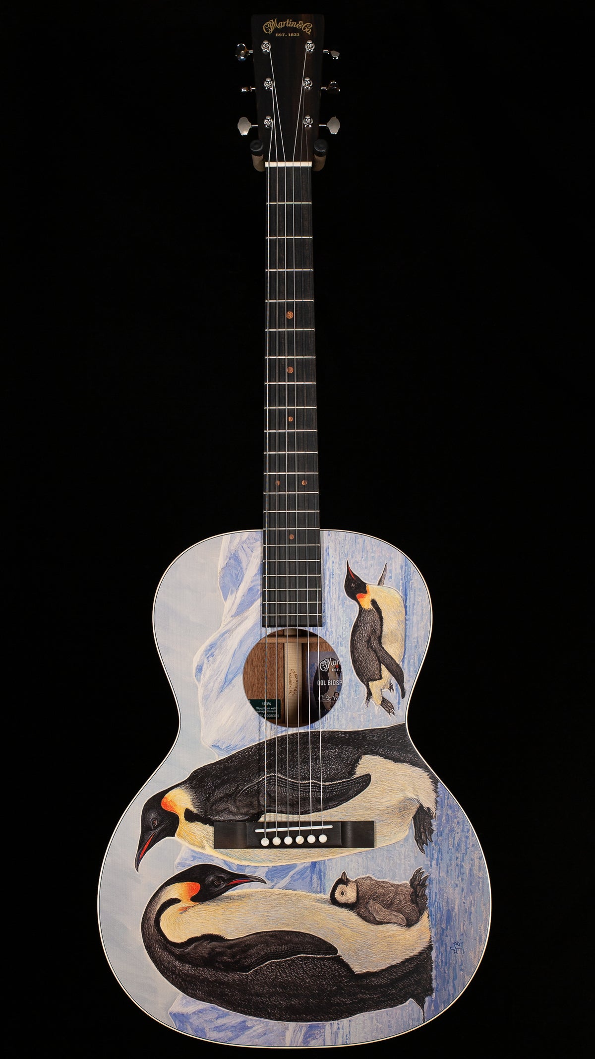 Martin 00L Biosphere IV (666)
