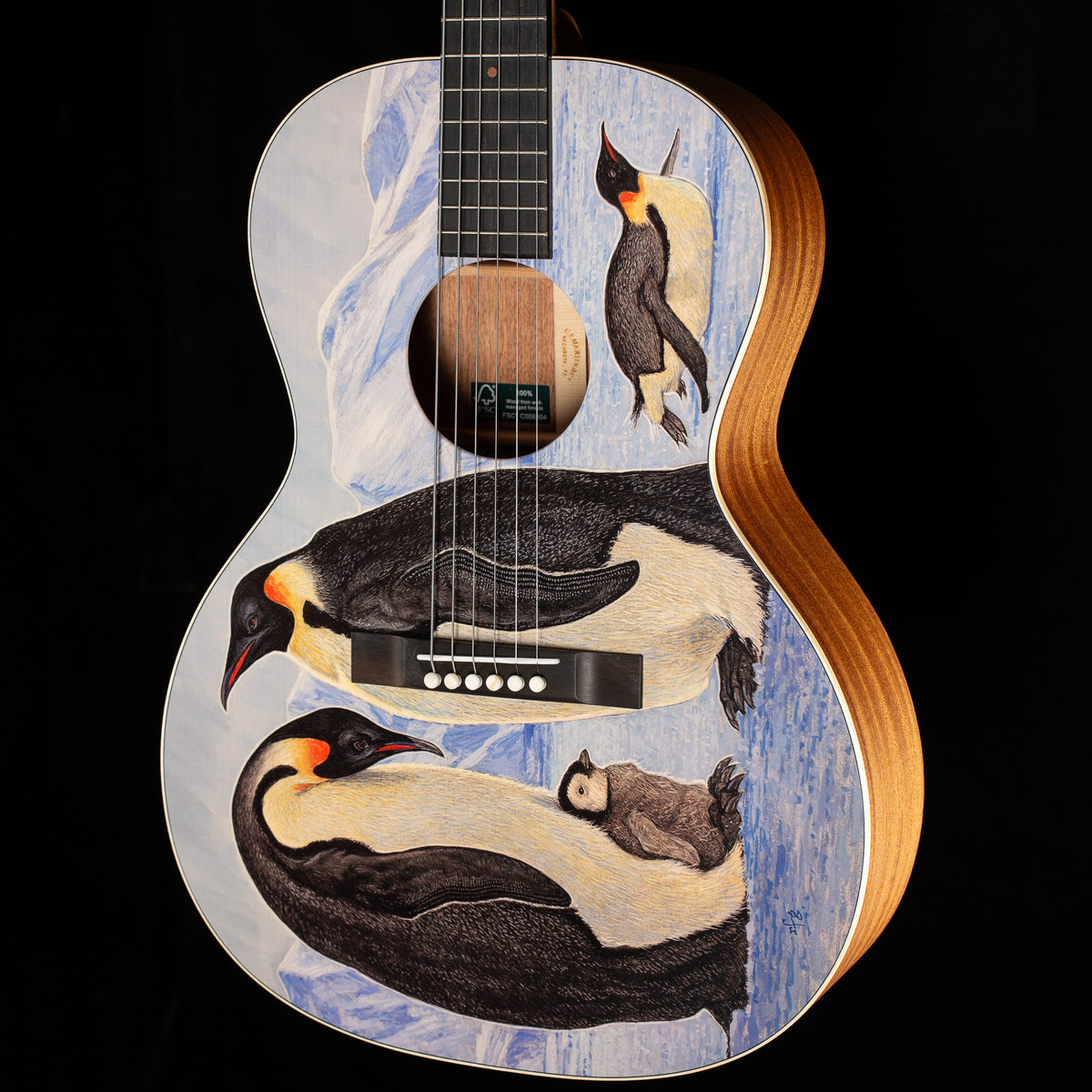 Martin 00L Biosphere IV (666)