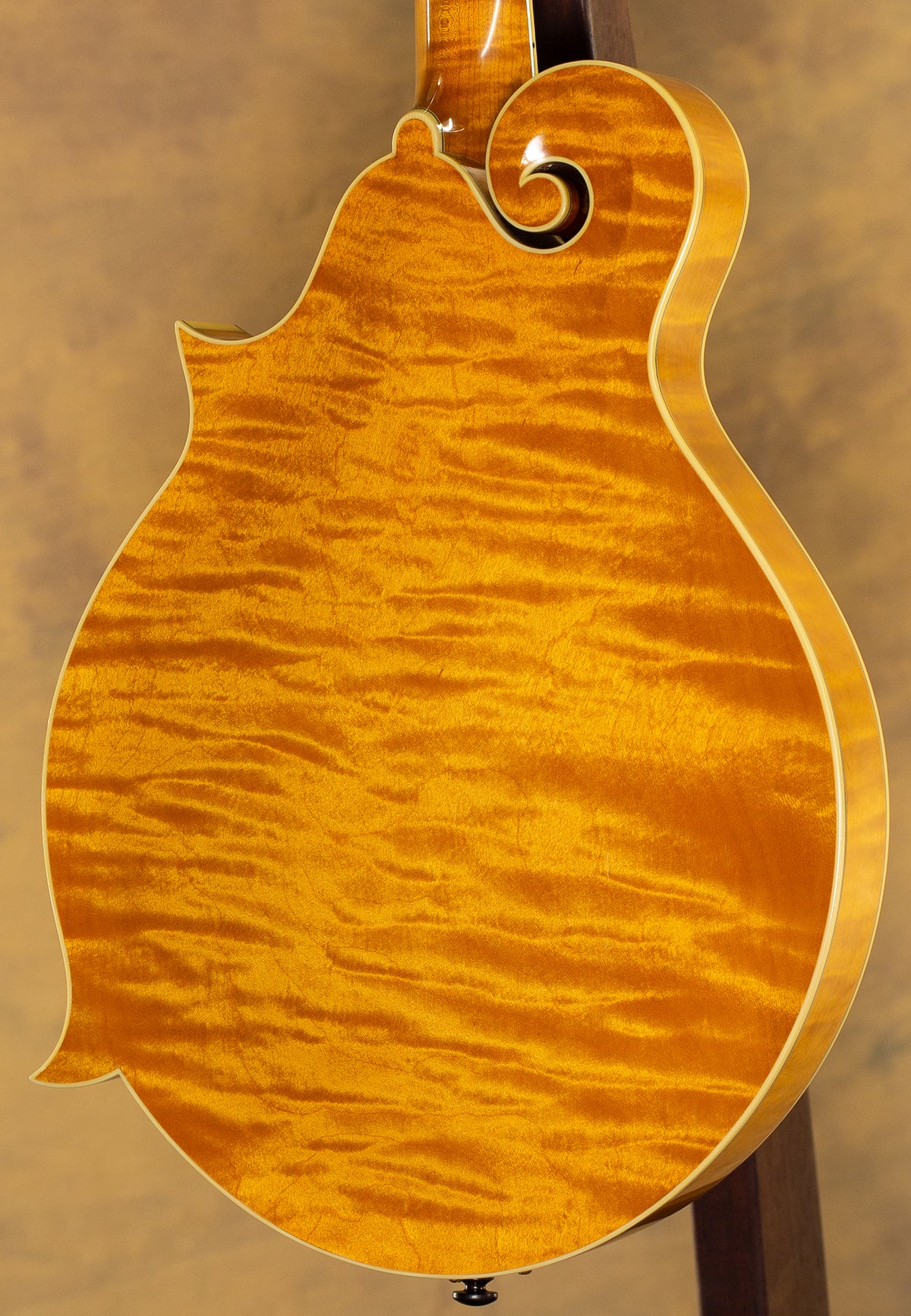 2003 Collings MF-5 Mandolin Black