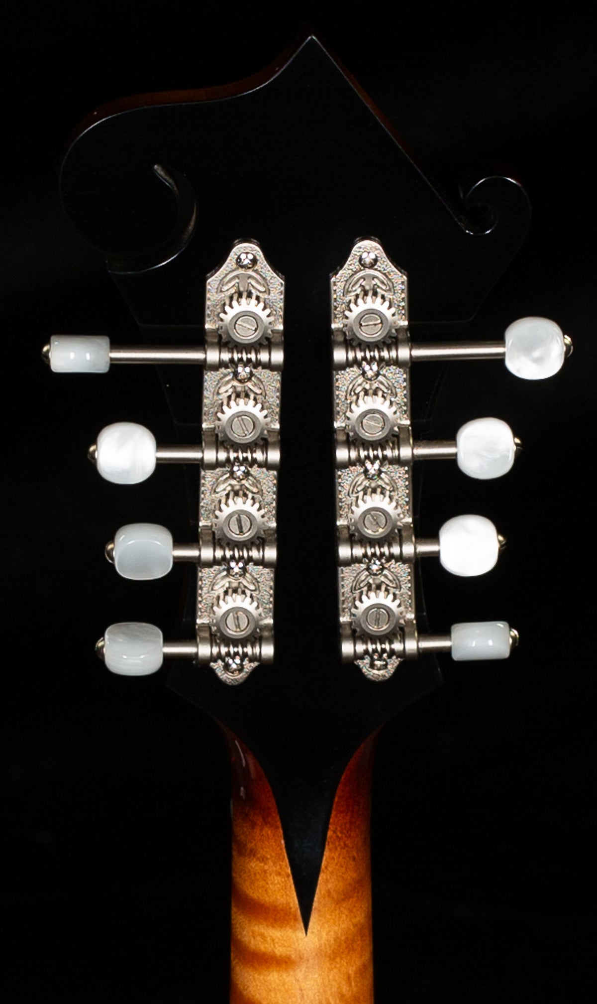 Gibson F-5G Mandolin Dark Burst (7012)
