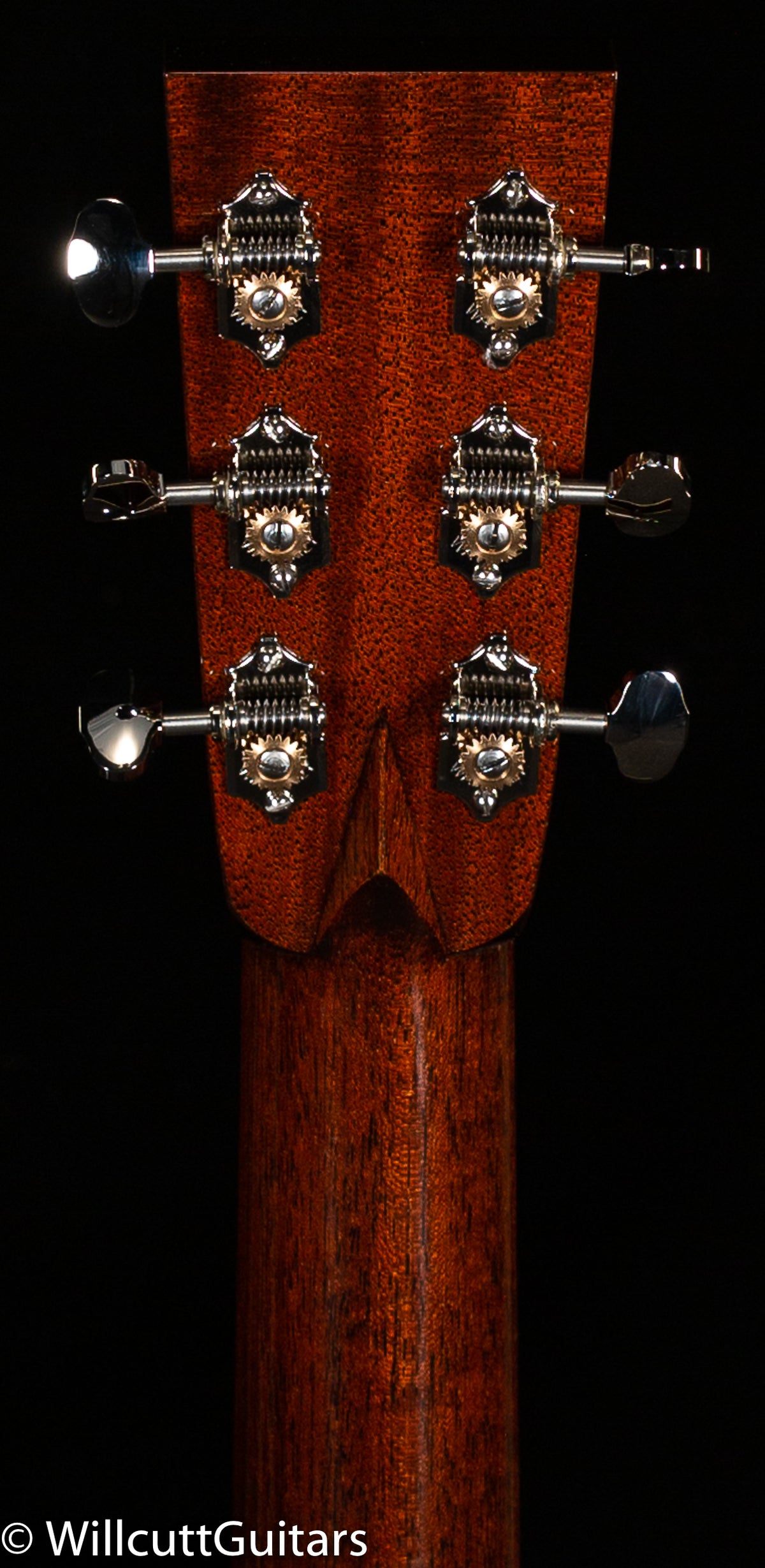 Collings D2HA T Adirondack Top Traditional Package (533)