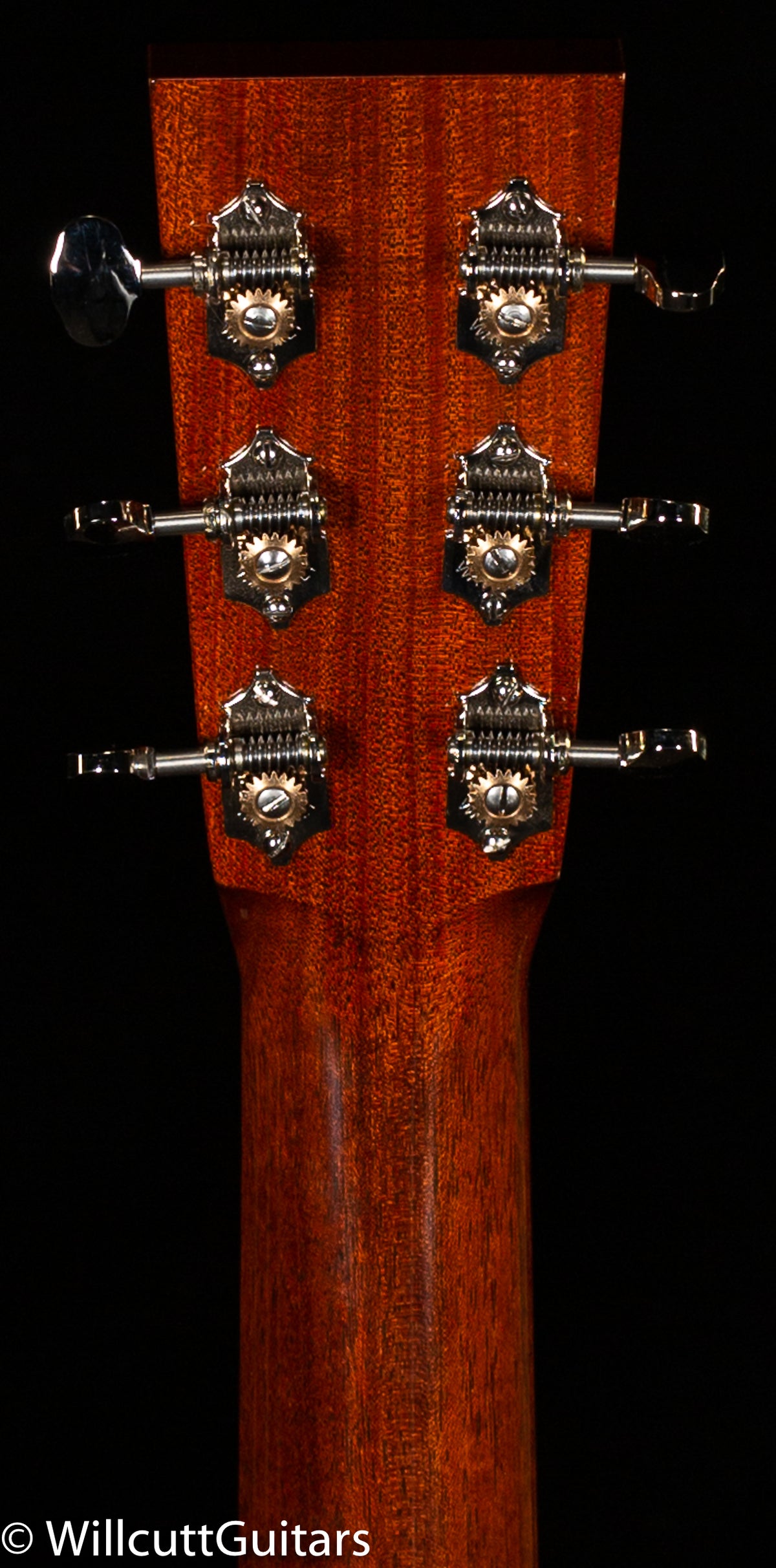 Collings OM1A T Adirondack Top Traditional Package (543)