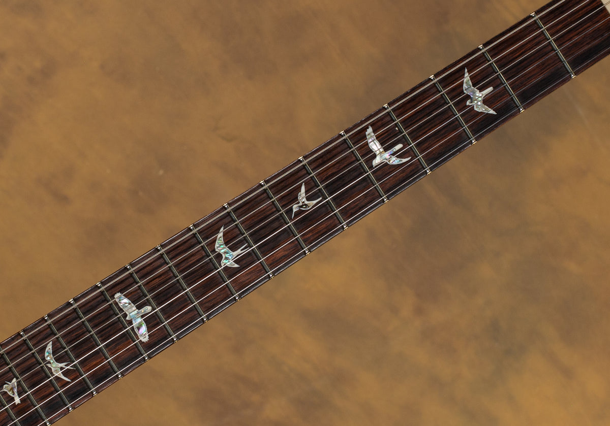 PRS DGT Custom Color Eriza Verde Green Burst