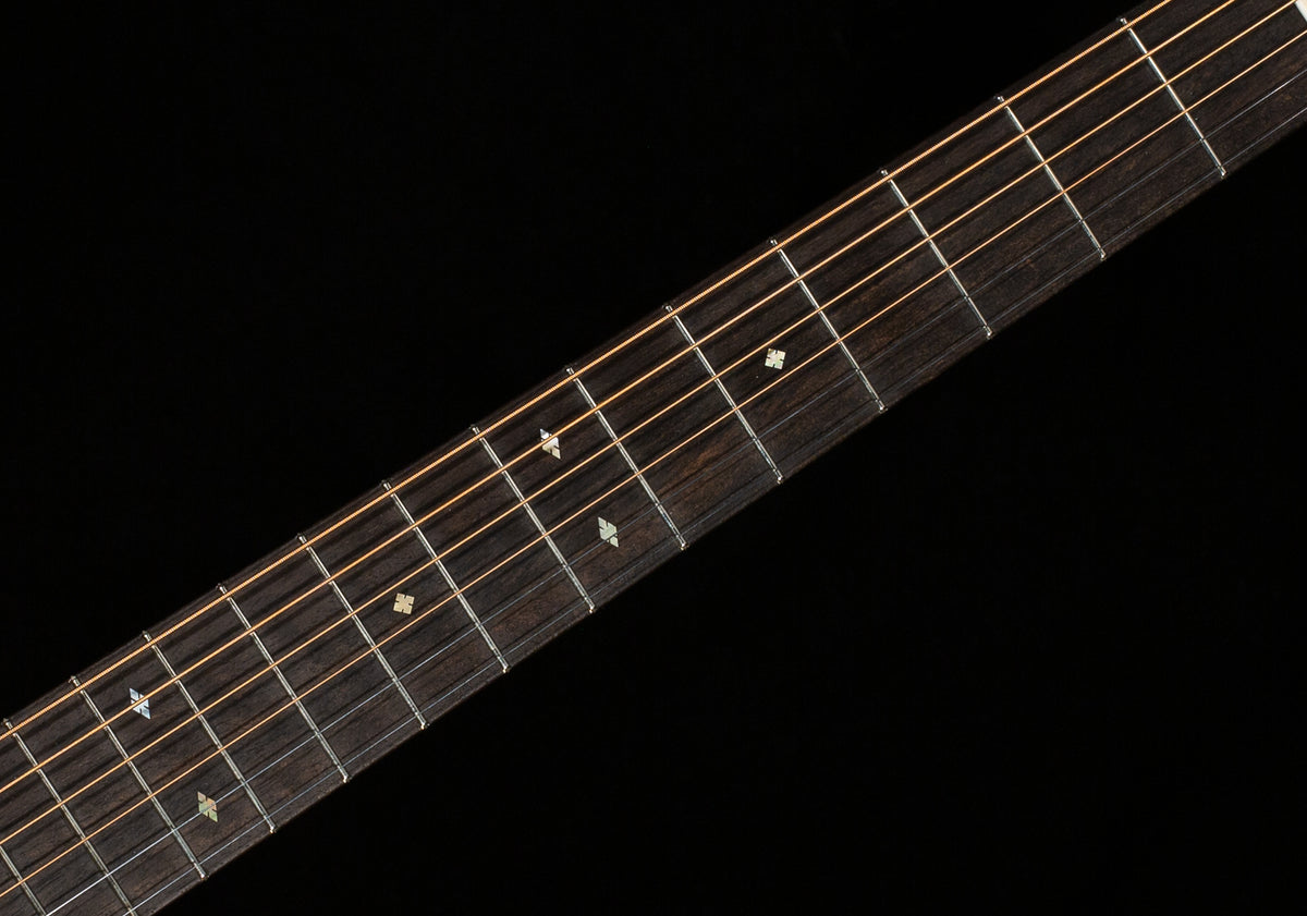 Collings D2HA Adirondack Spruce Top Traditional Package (933)