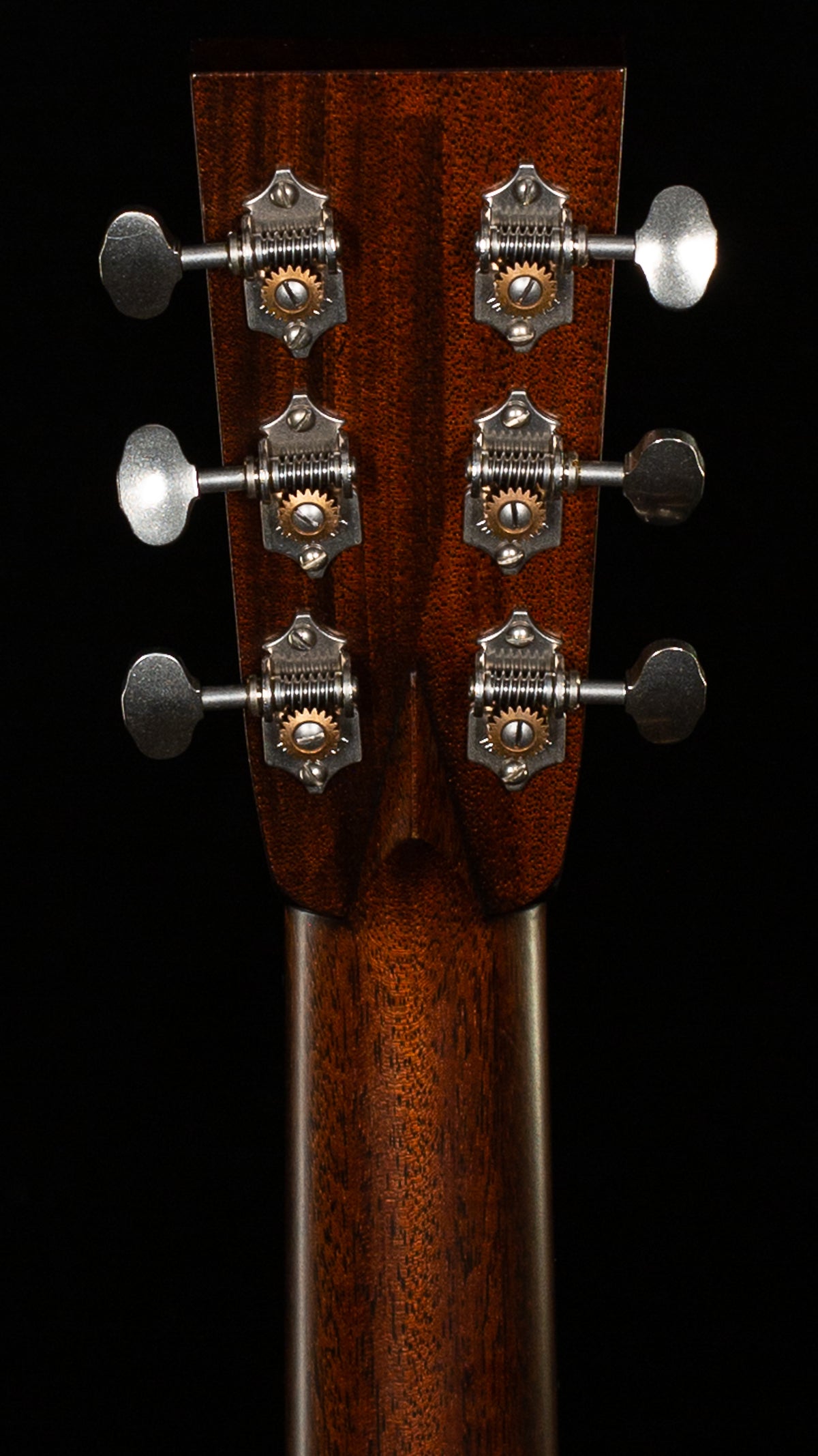 Collings D2HA Adirondack Spruce Top Traditional Package (933)