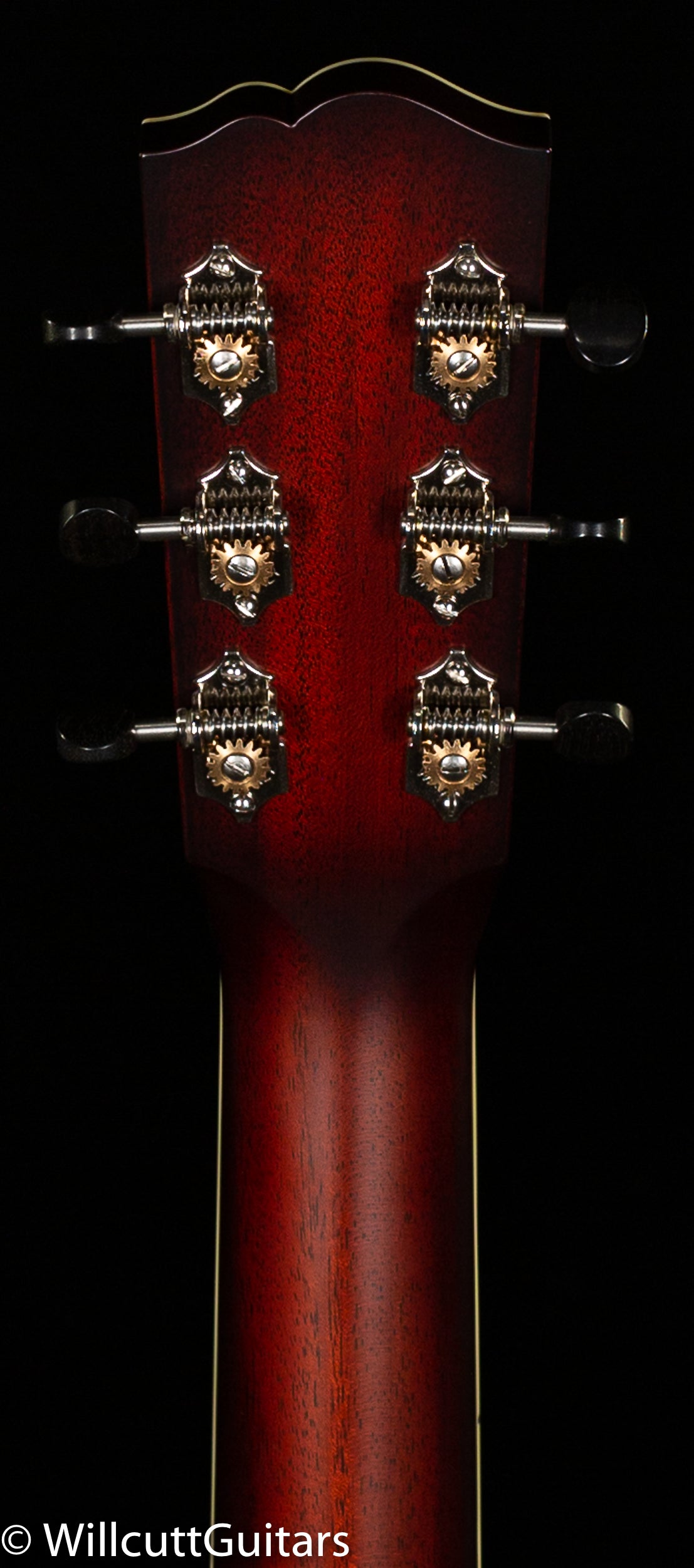 Santa Cruz Catfish O Model (391)