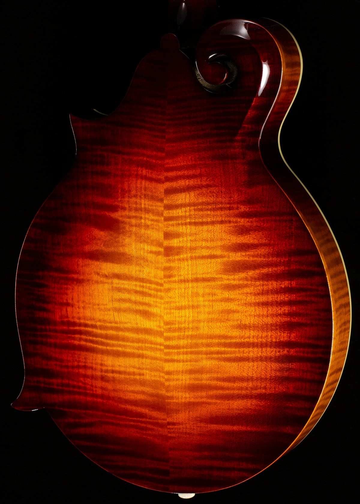Gibson Mandolin F-5G Dark Burst (022)