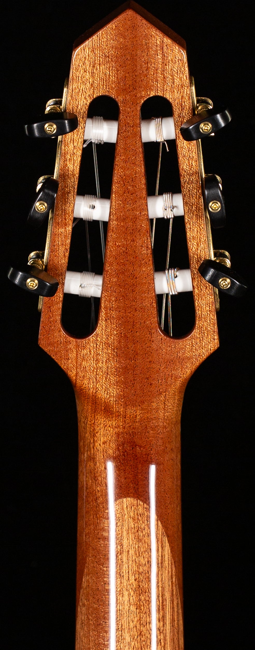 Rick Turner Renaissance RN6 Nylon String (457)