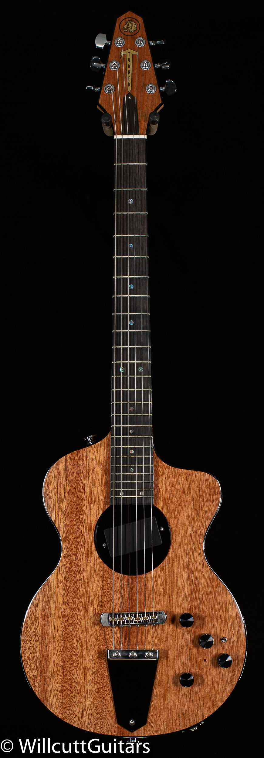 lindsey buckingham guitar gear Rick Turner Model 1 Deluxe Electric Guitar Lindsey Buckingham Model (8