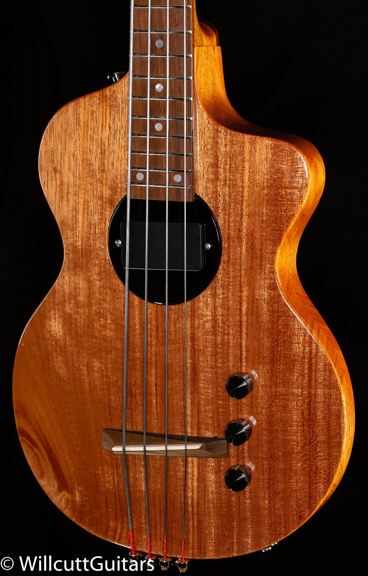 Rick Turner Model 1 Special BP Bass