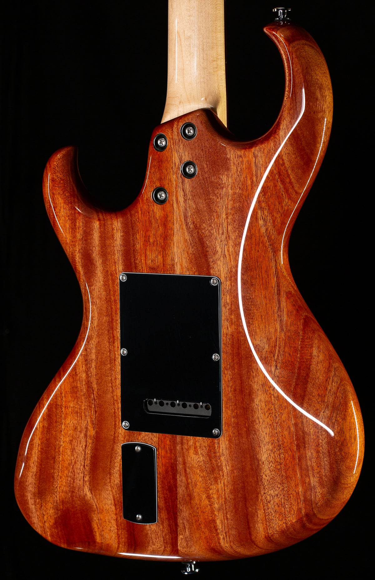Rick Turner Electroline Guitar Cocobolo (874)