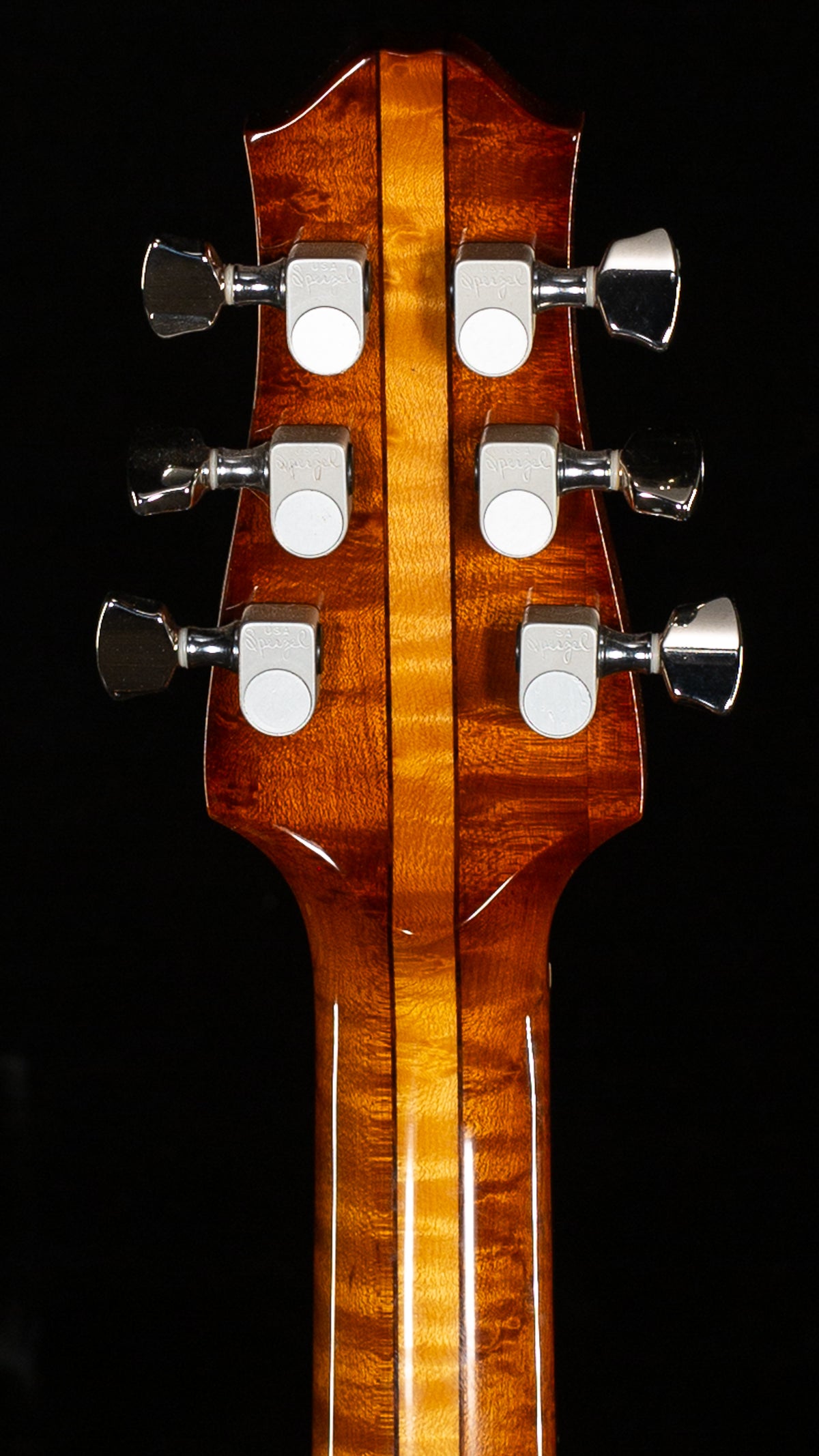 Giffin T3 Bigsby Chocolate Burst DEMO (290)
