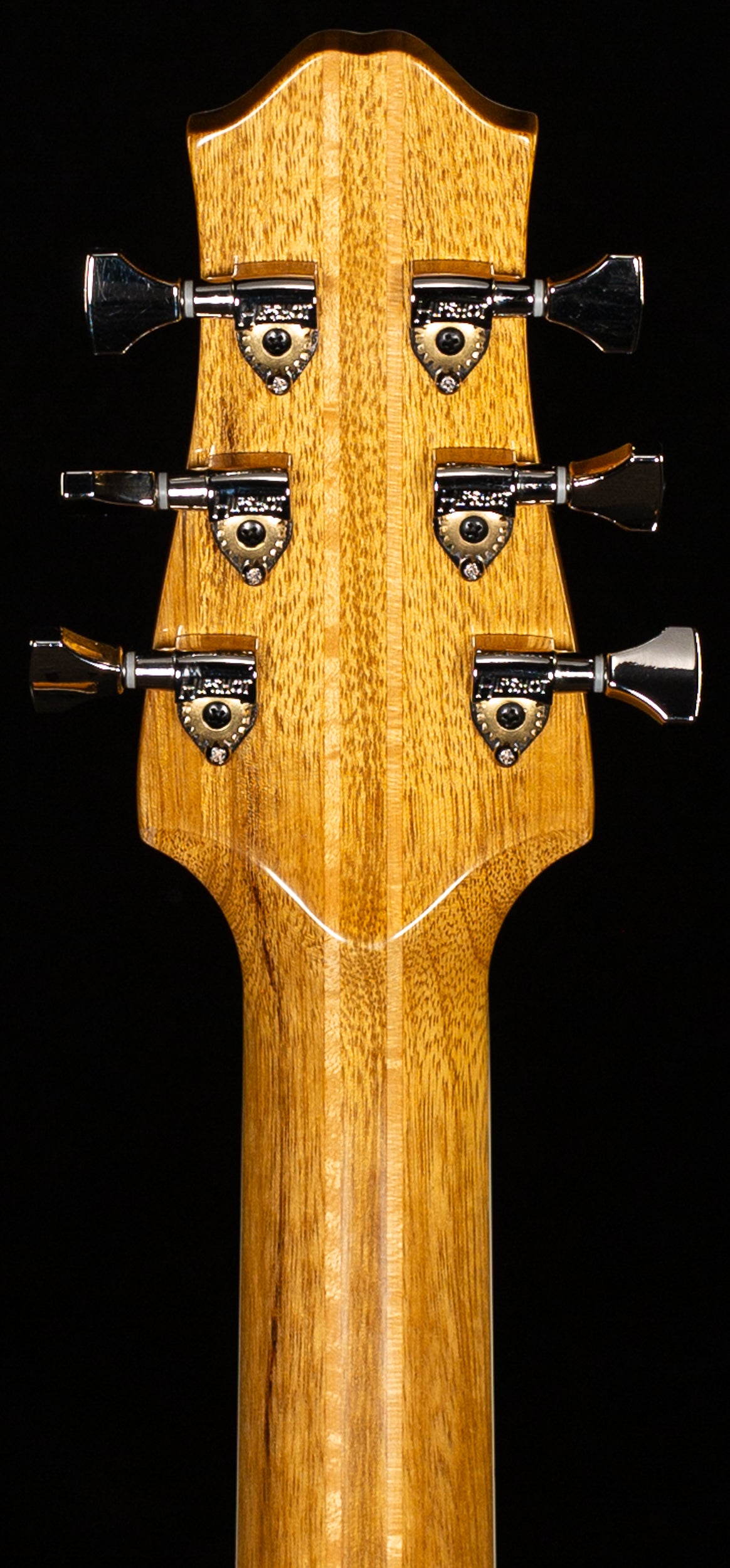 Giffin Standard Extra Hollow-Body White Limba Neck &amp; Body (210)