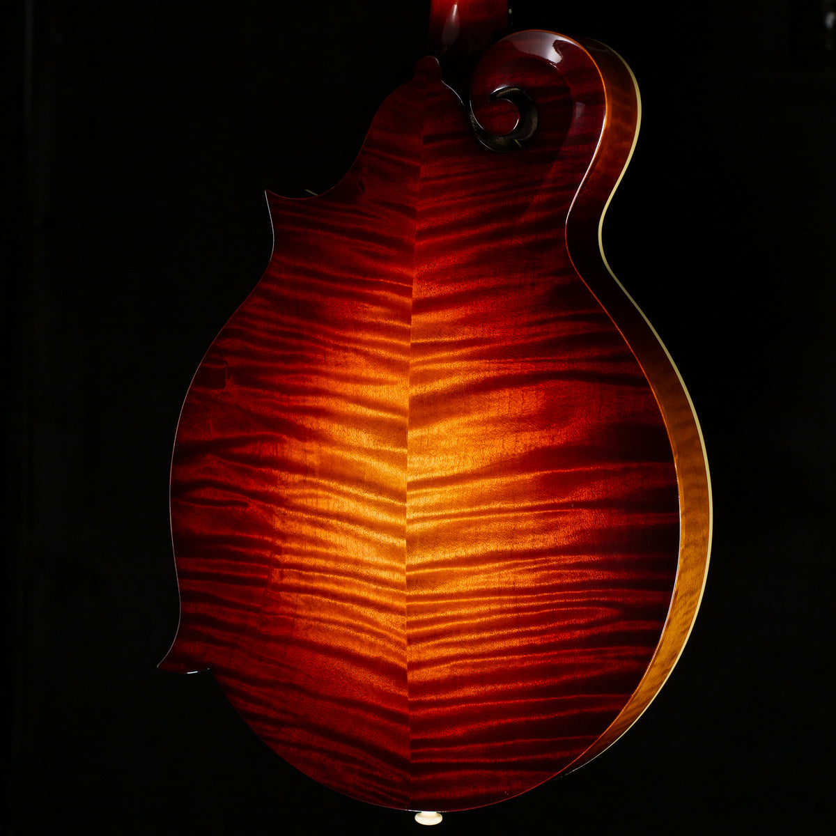 Gibson Mandolin F-5G Dark Burst (012)