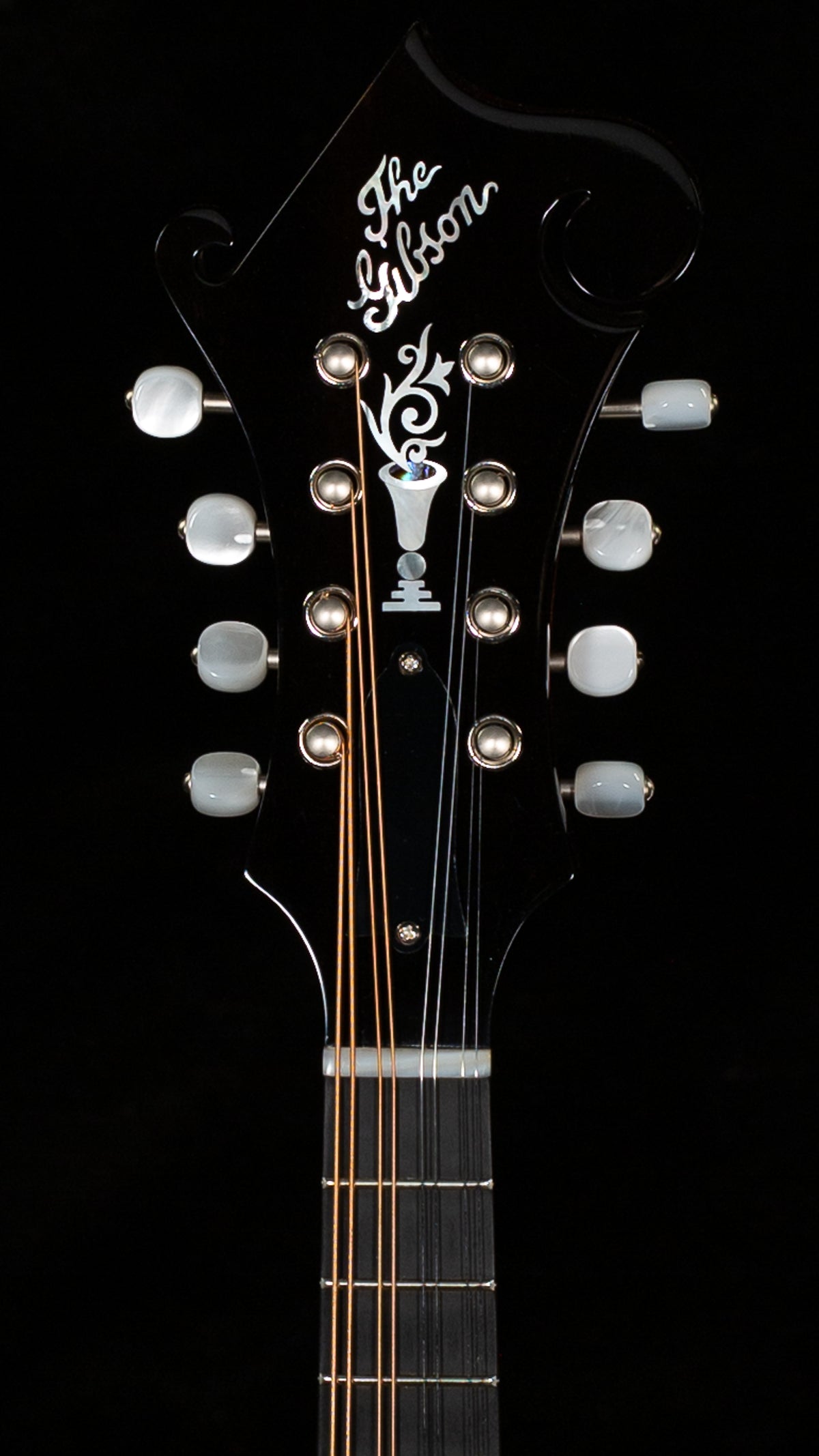 Gibson Mandolin F-5G Dark Burst (012)