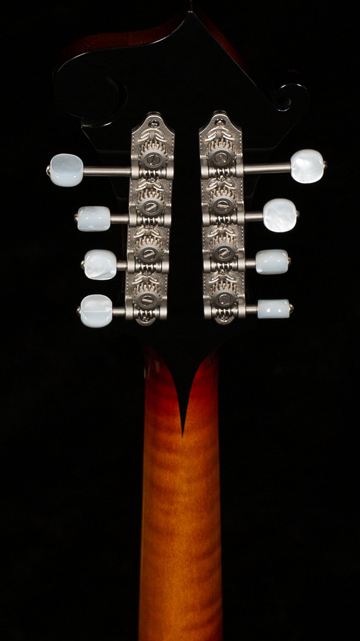 Gibson Mandolin F-5G Dark Burst (012)