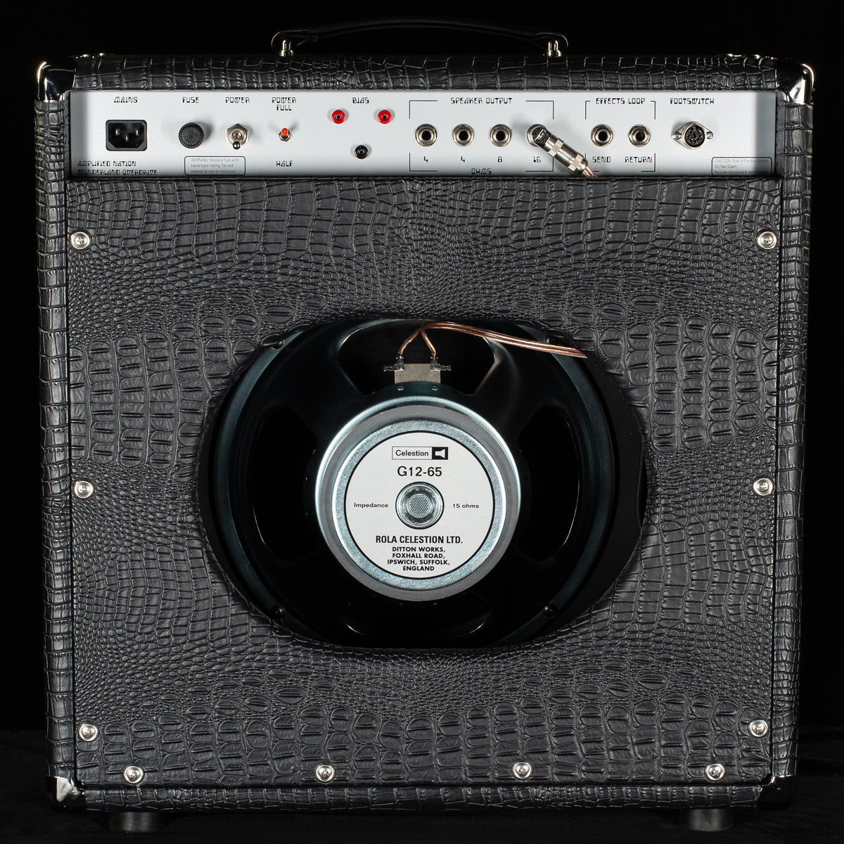Amplified Nation Wonderland Overdrive 50w Combo Black Croc/Black Cloth (620)